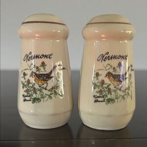 70’s Vintage Transferware Ceramic Vermont Salt and Pepper Shakers